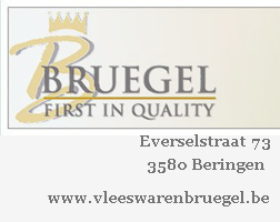 bruegel sponsor